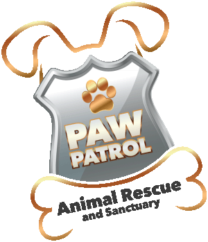 Paw Patrol